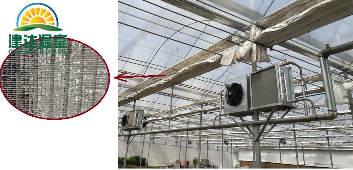 green house inner shading net
