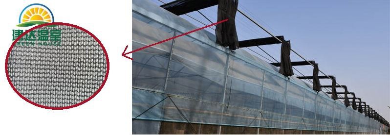 green house shading net