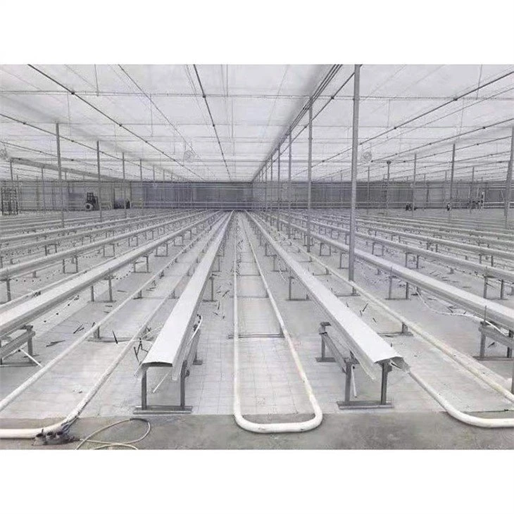 Weed-proof-cloth-green-house