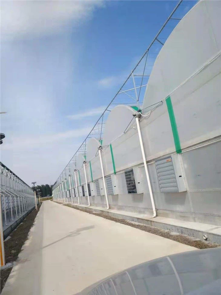 Rumah kaca dengan sistem pendingin