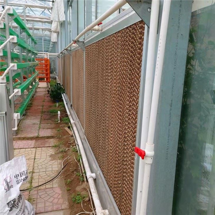 Greenhouse With Cooling System