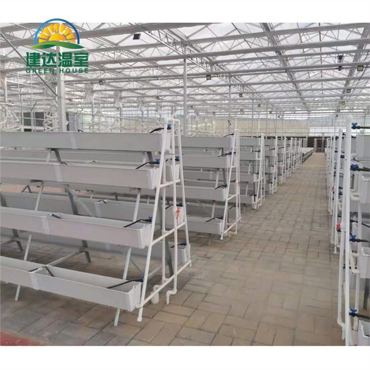 Hydroponic Vegetable Gutter System