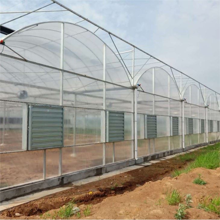 Film Greenhouse Glass Greenhouse PC Greenhouse With Irrigation Hydroponic System For Mushroom Vegetable