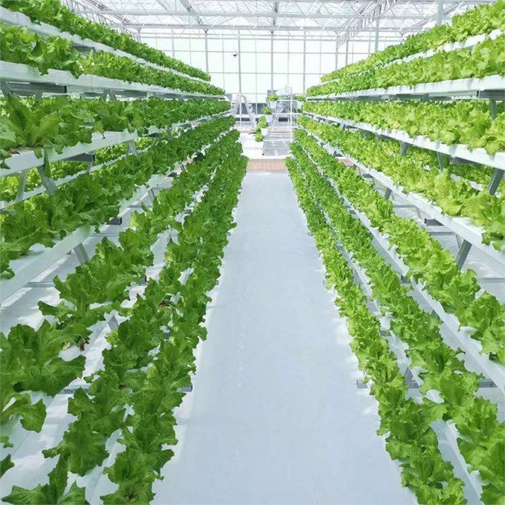 NFT Hydroponics