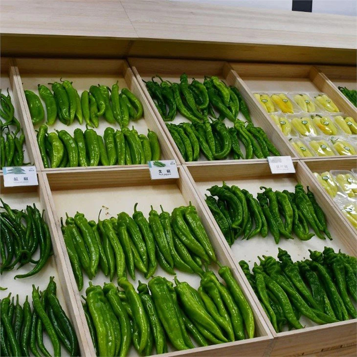Organic-food-vegetables-cucumber