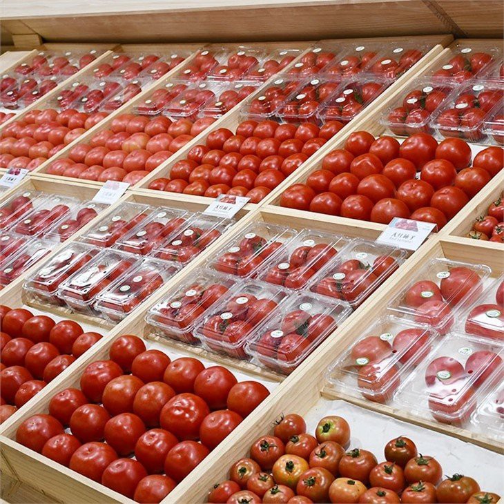 Organic-food-vegetables-Tomato