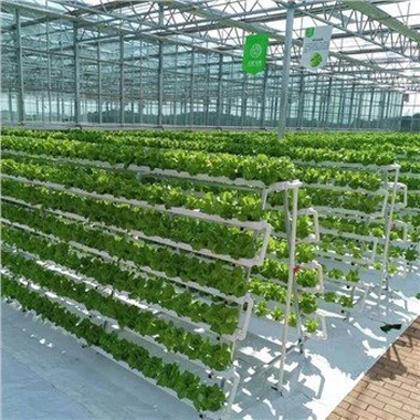 Hidroponik NFT