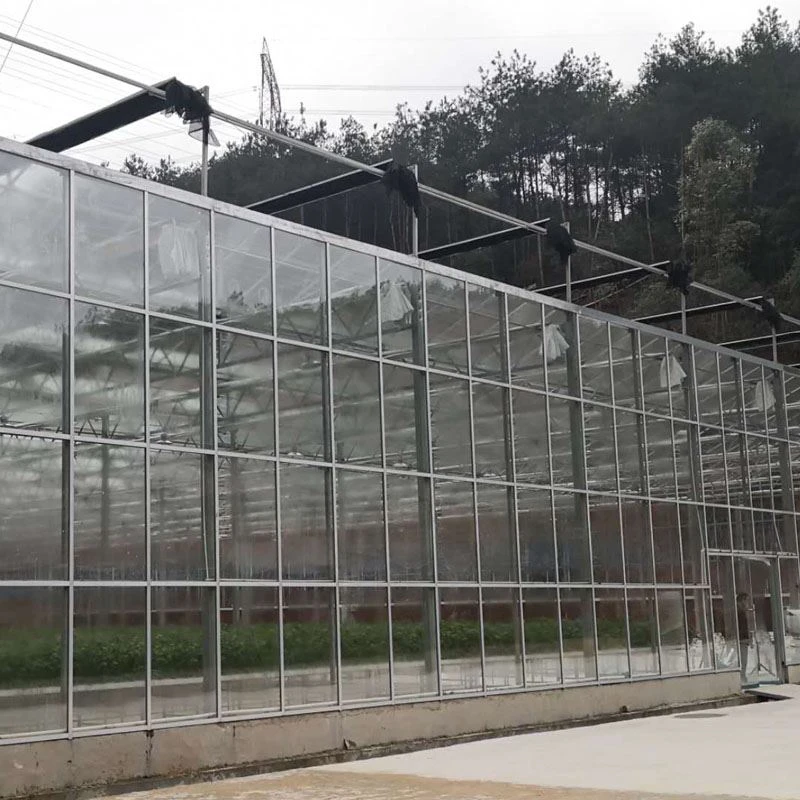 Rumah Kaca Proyek Baru Dengan Net Shading Eksternal Selesai