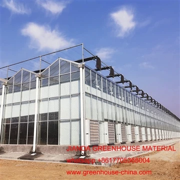 Rumah Kaca Kaca Multi Bentang Venlo