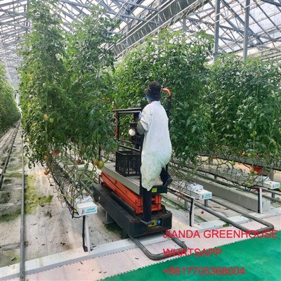 Menetapkan Sistem Hidroponik Standar Belanda